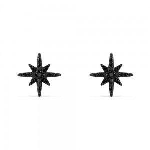 Meteorites Noires Silver Stud Earrings