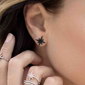 Meteorites Noires Silver Stud Earrings
