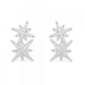 Double Meteorites Stud Earrings