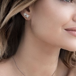 Double Meteorites Stud Earrings