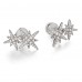 Double Meteorites Stud Earrings