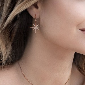 Meteorites Rose Earrings