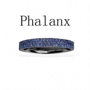 Black Silver Phalanx Ring With Blue Stones