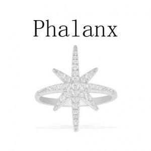 Silver Meteorites Phalanx Ring