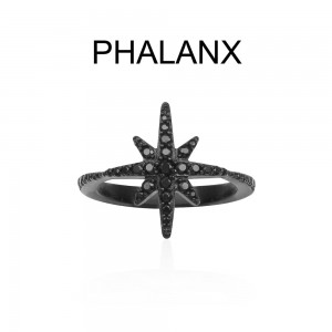Meteorites Noires Silver Phalanx Ring