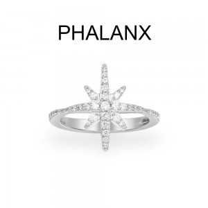 Meteorites Phalanx Ring