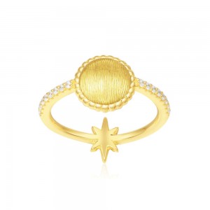Yellow Silver Weavy Textured Coin Ring With Meteorite